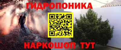apvp Кандалакша