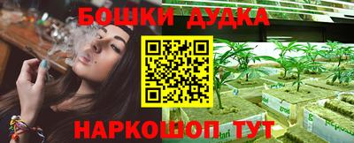 apvp Кандалакша
