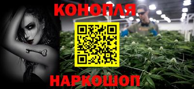 стаф Канаш