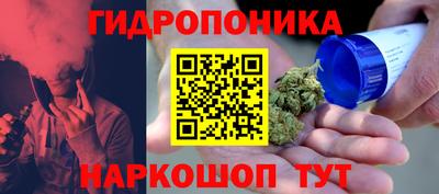 стаф Канаш