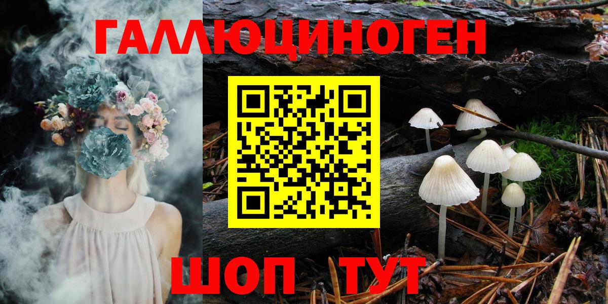 Гусь-Хрустальный  Псилоцибиновые грибы Psilocybine cubensis  Вход с VPN 