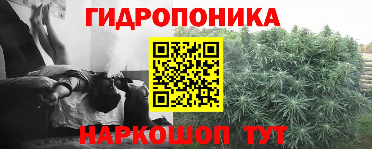 Гусь-Хрустальный  Бошки марихуана OG Kush  Конопля индика  Канабис VHQ  Вход с VPN 
